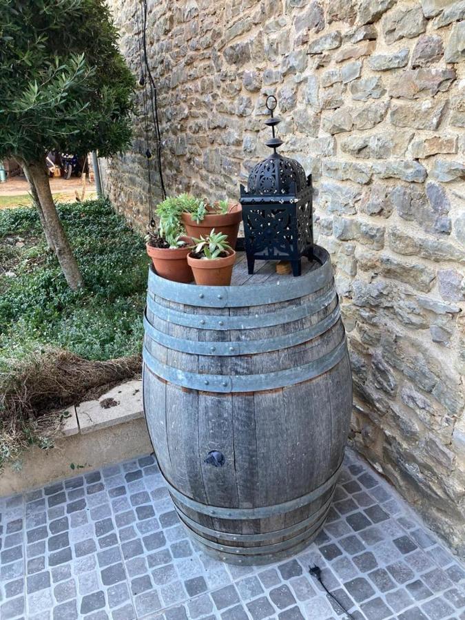 Salvagnac-Cajarc La Pi'Ternelle Bed & Breakfast エクステリア 写真